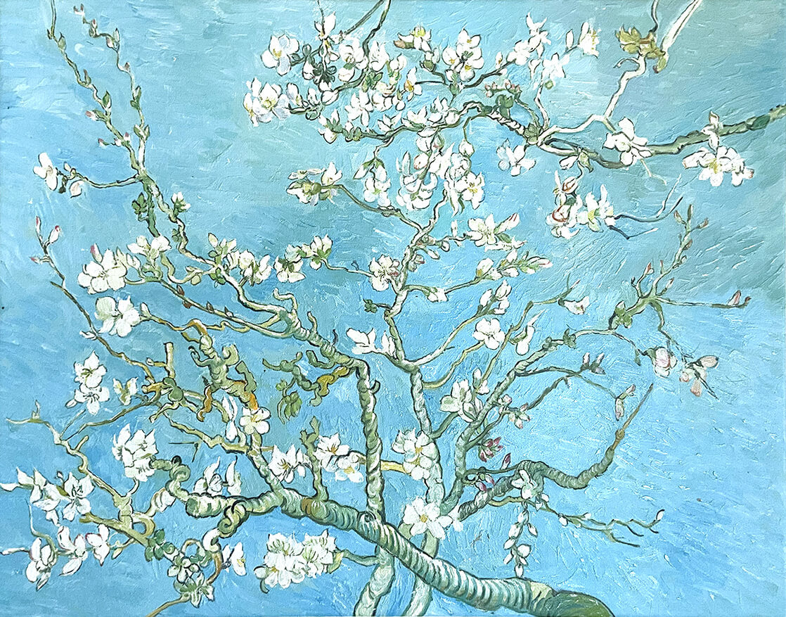 Amandier en Fleurs de Vincent Van Gogh Amandier en Fleurs de Vincent Van Gogh