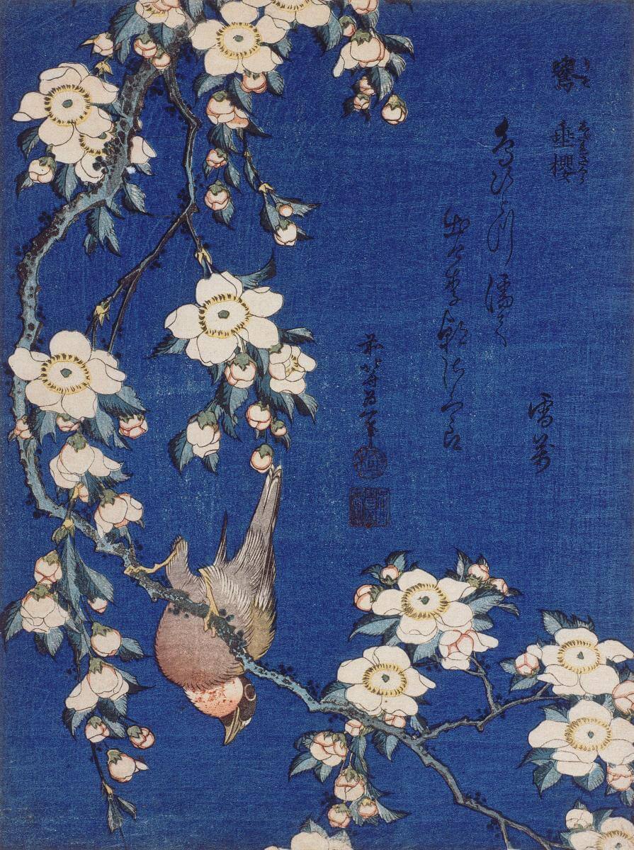 Bouvreuil et cerisier-pleureur - Hokusai
