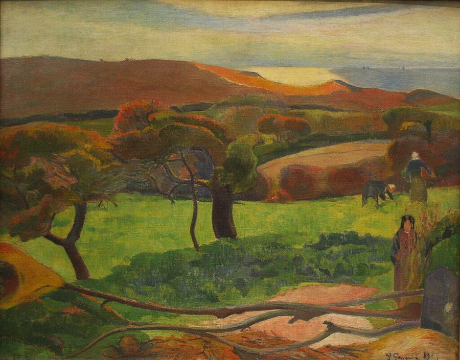Fields by the sea - Paul Gauguin
