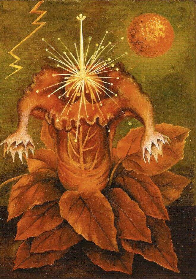 Fleur de la vie - Frida Kahlo