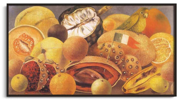 Nature morte avec perroquet et drapeau - Frida Kahlo