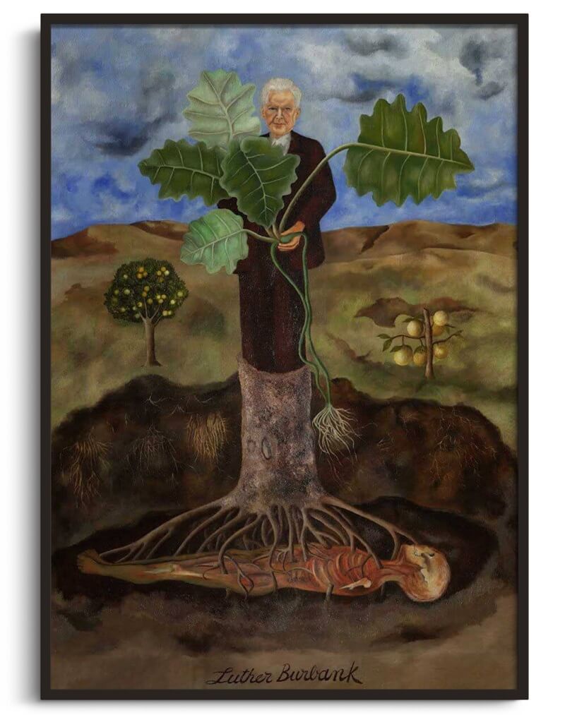 Portrait of Luther Burbank - Frida Kahlo