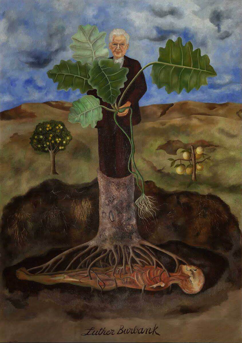Portrait of Luther Burbank - Frida Kahlo