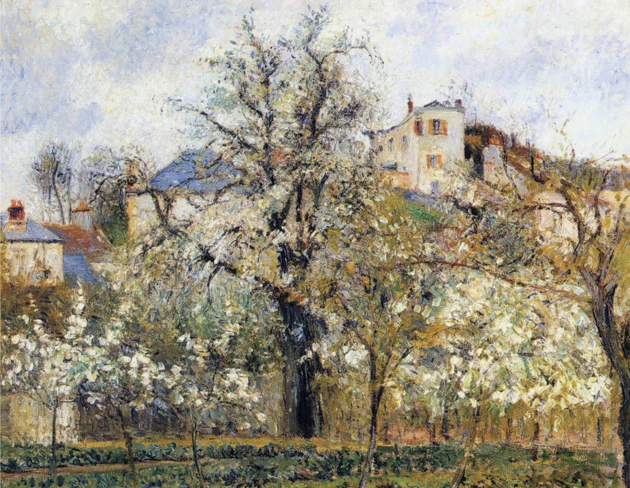 Spring. Plum trees in blossom - Camille Pissarro