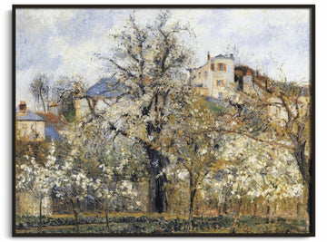 Spring. Plum trees in blossom - Camille Pissarro