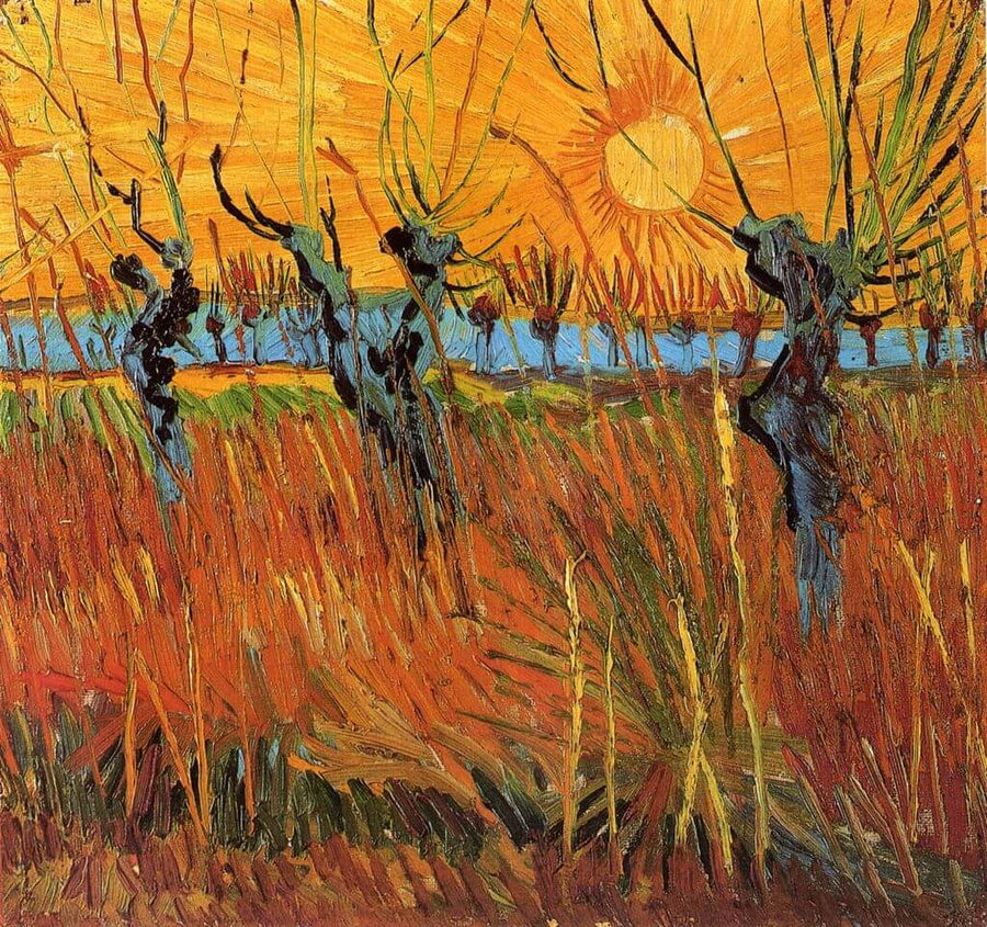 Saules au soleil couchant - Vincent Van Gogh